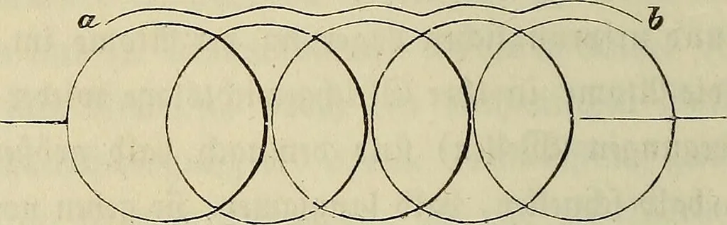 An illustration from Mikroskopische Bilder : Naturansichten aus dem kleinsten Raume ; ein Gemälde des Mikrokosmus in seinen Gestalten und Gesetzen, 1853, leaf 87