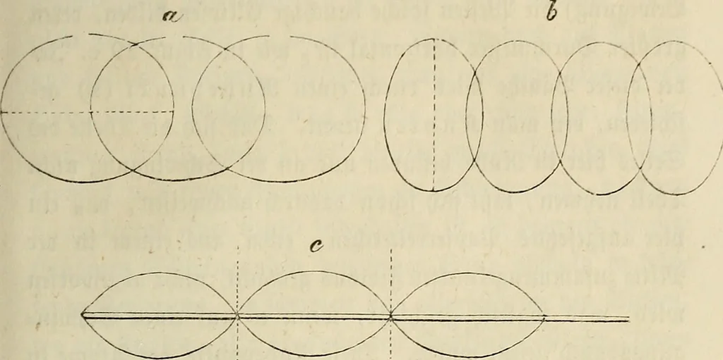 An illustration from Mikroskopische Bilder : Naturansichten aus dem kleinsten Raume ; ein Gemälde des Mikrokosmus in seinen Gestalten und Gesetzen, 1853, leaf 88