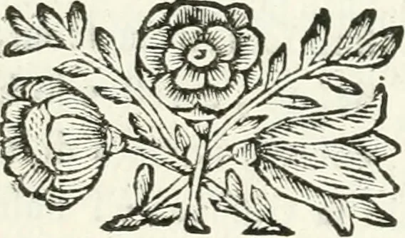 An illustration from Milano sempre grande : nel procurare la promozione de' suoi figli alla dignità di padre e di pastore, nell' ergere pomposo apparato a riceverli, nel mantenere vn filiale ossequio dopo riceuuti : circonstanze descritte nell' elezione, e nel solenne ingresso fatto in Milano dall' eminentissimo signor cardinale Federico Caccia suo arciuescouo, il giorno 11. di decembre 1696, 1697, leaf 26