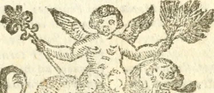 An illustration from Militarium ordinum origines, statuta, symbola, et insignia, iconibus, additis genuinis : hac editione multorum ordinum, & quoquot extitere, accessione locupletata, serie[que] temporum distributa, 1623, leaf 106