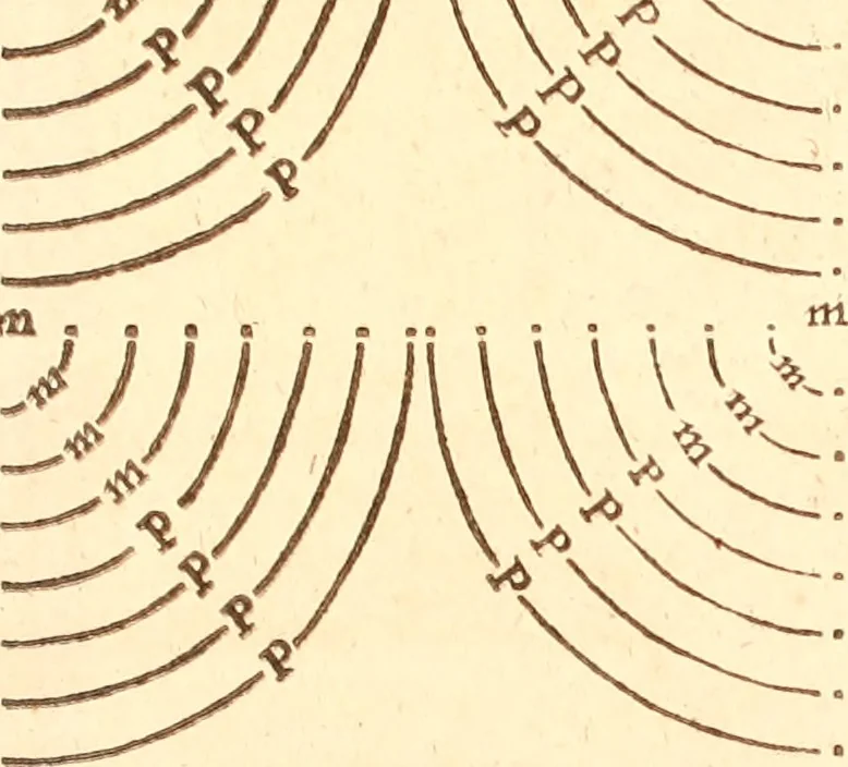 An illustration from Military discipline: or, The young artillery man. Wherein is discoursed and showne the postures both of musket and pike: the exactest ways, & c. together with the motions which are to be used, in the exercising of a foot -company. With divers and severall formes and figures of battell .., 1635, leaf 122