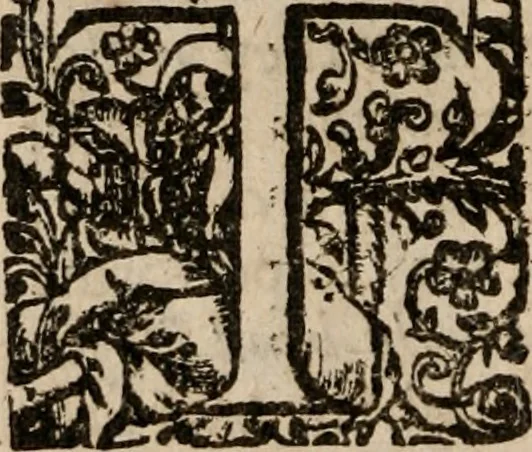 An illustration from Military discipline: or, The young artillery man. Wherein is discoursed and showne the postures both of musket and pike: the exactest ways, & c. together with the motions which are to be used, in the exercising of a foot -company. With divers and severall formes and figures of battell .., 1635, leaf 157