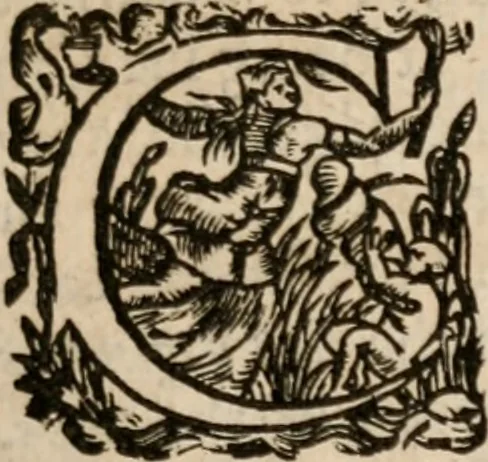 An illustration from Military discipline: or, The young artillery man. Wherein is discoursed and showne the postures both of musket and pike: the exactest ways, & c. together with the motions which are to be used, in the exercising of a foot -company. With divers and severall formes and figures of battell .., 1635, leaf 16