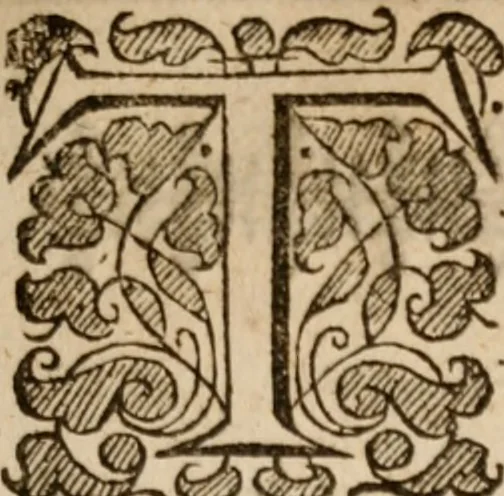 An illustration from Military discipline: or, The young artillery man. Wherein is discoursed and showne the postures both of musket and pike: the exactest ways, & c. together with the motions which are to be used, in the exercising of a foot -company. With divers and severall formes and figures of battell .., 1635, leaf 172
