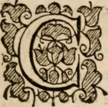 An illustration from Military discipline: or, The young artillery man. Wherein is discoursed and showne the postures both of musket and pike: the exactest ways, & c. together with the motions which are to be used, in the exercising of a foot -company. With divers and severall formes and figures of battell .., 1635, leaf 20