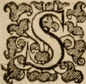An illustration from Military discipline: or, The young artillery man. Wherein is discoursed and showne the postures both of musket and pike: the exactest ways, & c. together with the motions which are to be used, in the exercising of a foot -company. With divers and severall formes and figures of battell .., 1635, leaf 212