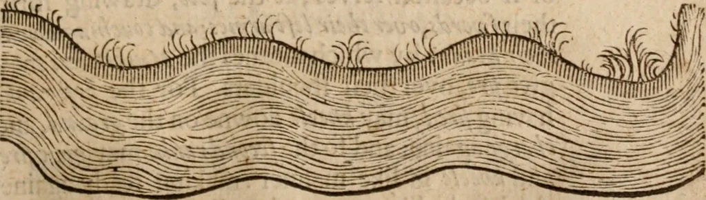 An illustration from Military discipline: or, The young artillery man. Wherein is discoursed and showne the postures both of musket and pike: the exactest ways, & c. together with the motions which are to be used, in the exercising of a foot -company. With divers and severall formes and figures of battell .., 1635, leaf 246