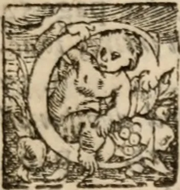 An illustration from Military discipline: or, The young artillery man. Wherein is discoursed and showne the postures both of musket and pike: the exactest ways, & c. together with the motions which are to be used, in the exercising of a foot -company. With divers and severall formes and figures of battell .., 1635, leaf 360