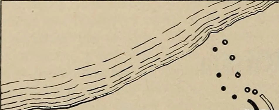 An illustration from Military review, 1922, leaf 35