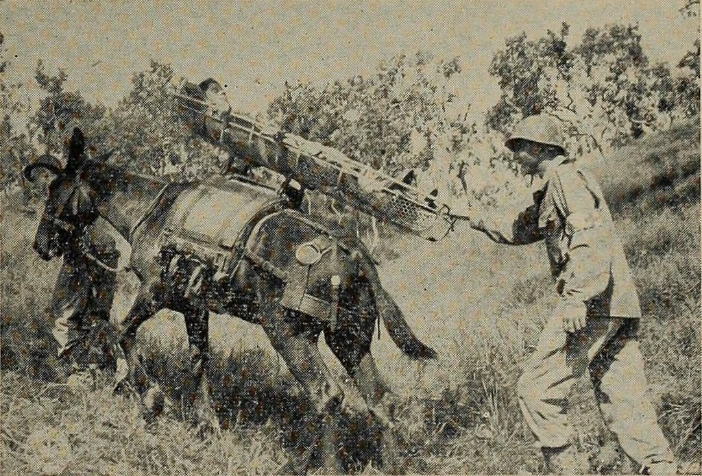 An illustration from Military review, 1922, leaf 64