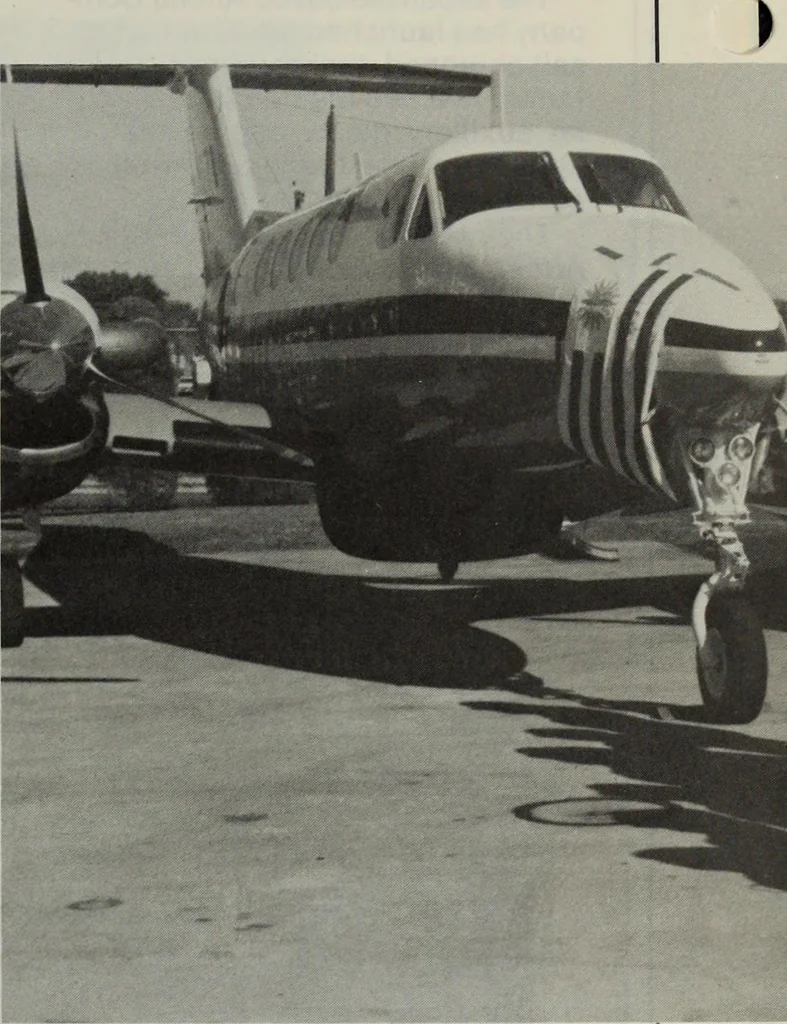 An illustration from Military review, 1922, leaf 82