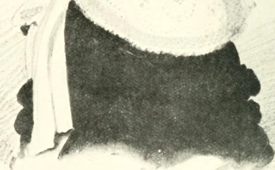 An illustration from The Millers of Haddington, Dunbar and Dunfermline; a record of Scottish bookselling, 1914, leaf 277