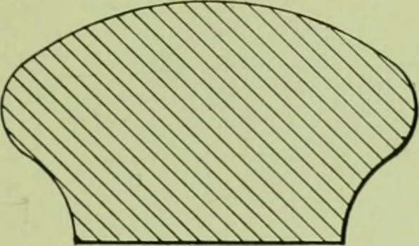 An illustration from Millwork catalogue : makers of the original patent dowelled doors, sash, blinds, fine interior finish, store and office fixtures, bank counters, dealers in lumber, etc, 1904, leaf 144