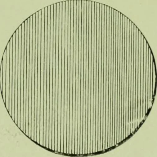 An illustration from Millwork catalogue : makers of the original patent dowelled doors, sash, blinds, fine interior finish, store and office fixtures, bank counters, dealers in lumber, etc, 1904, leaf 144