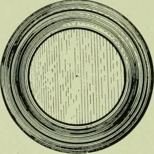 An illustration from Millwork catalogue : makers of the original patent dowelled doors, sash, blinds, fine interior finish, store and office fixtures, bank counters, dealers in lumber, etc, 1904, leaf 145
