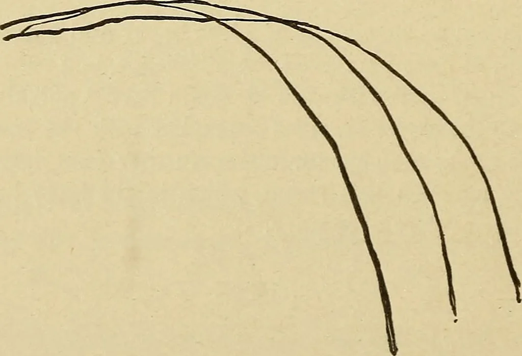 An illustration from Mind-reading and beyond, 1885, leaf 109