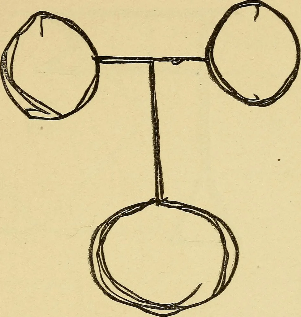 An illustration from Mind-reading and beyond, 1885, leaf 110