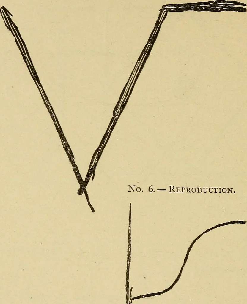 An illustration from Mind-reading and beyond, 1885, leaf 113