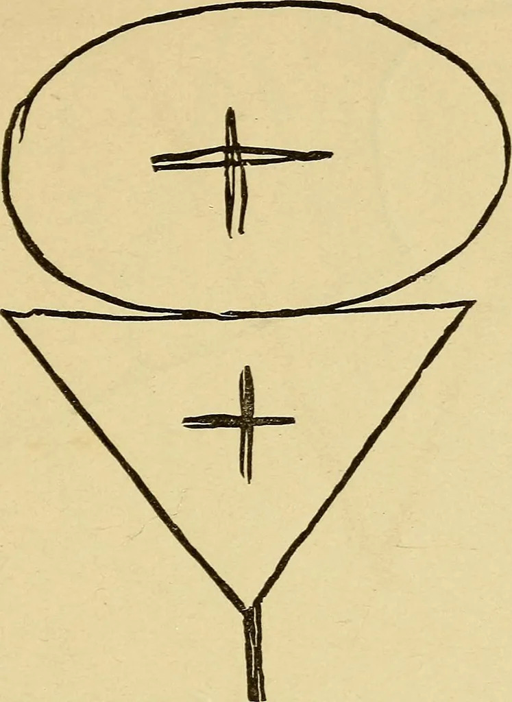 An illustration from Mind-reading and beyond, 1885, leaf 114