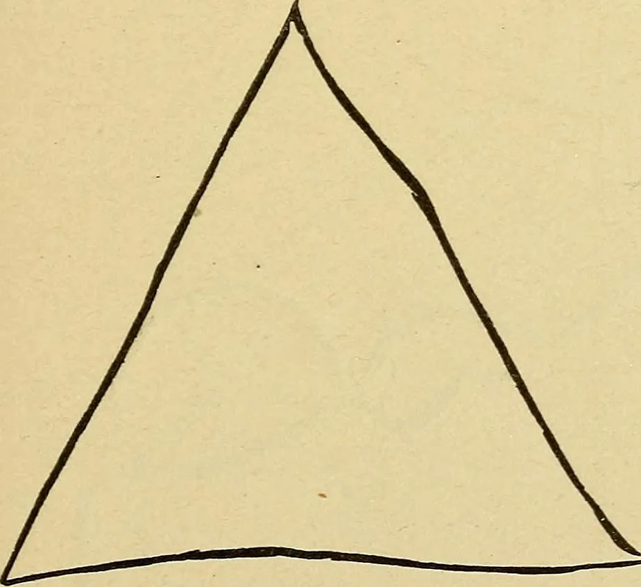 An illustration from Mind-reading and beyond, 1885, leaf 114