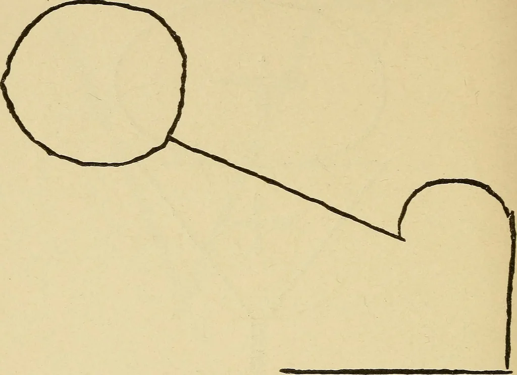 An illustration from Mind-reading and beyond, 1885, leaf 115