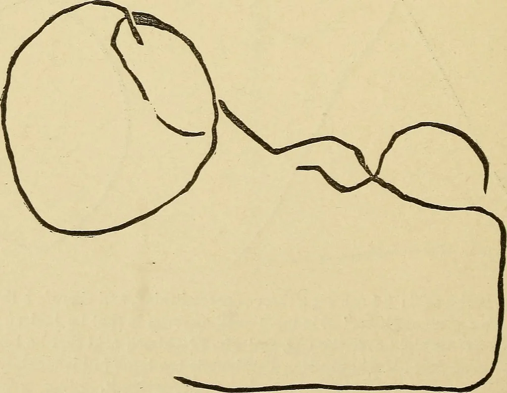 An illustration from Mind-reading and beyond, 1885, leaf 115