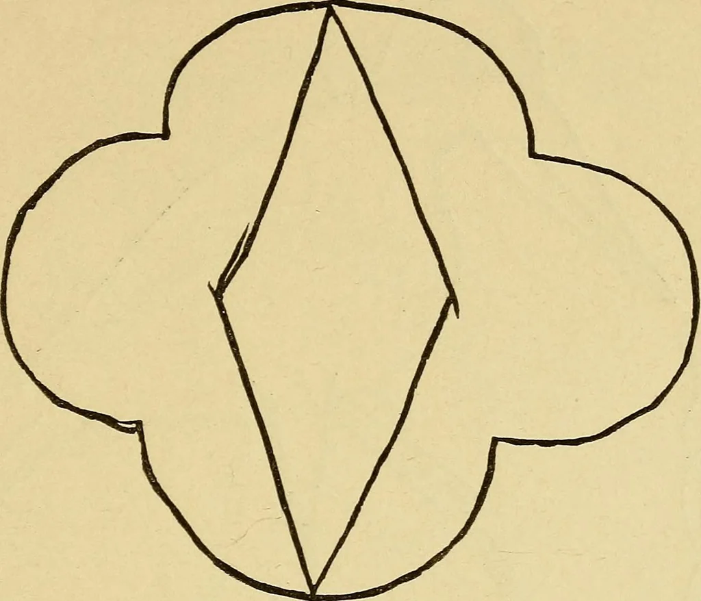 An illustration from Mind-reading and beyond, 1885, leaf 116