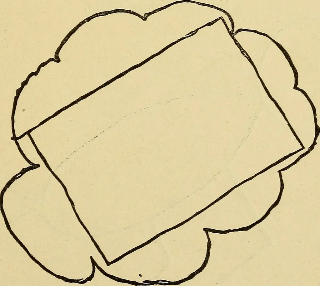 An illustration from Mind-reading and beyond, 1885, leaf 116