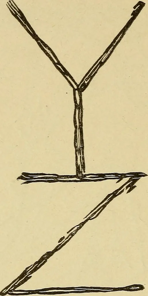 An illustration from Mind-reading and beyond, 1885, leaf 119