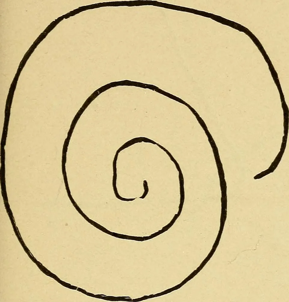 An illustration from Mind-reading and beyond, 1885, leaf 120