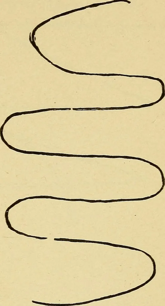 An illustration from Mind-reading and beyond, 1885, leaf 120
