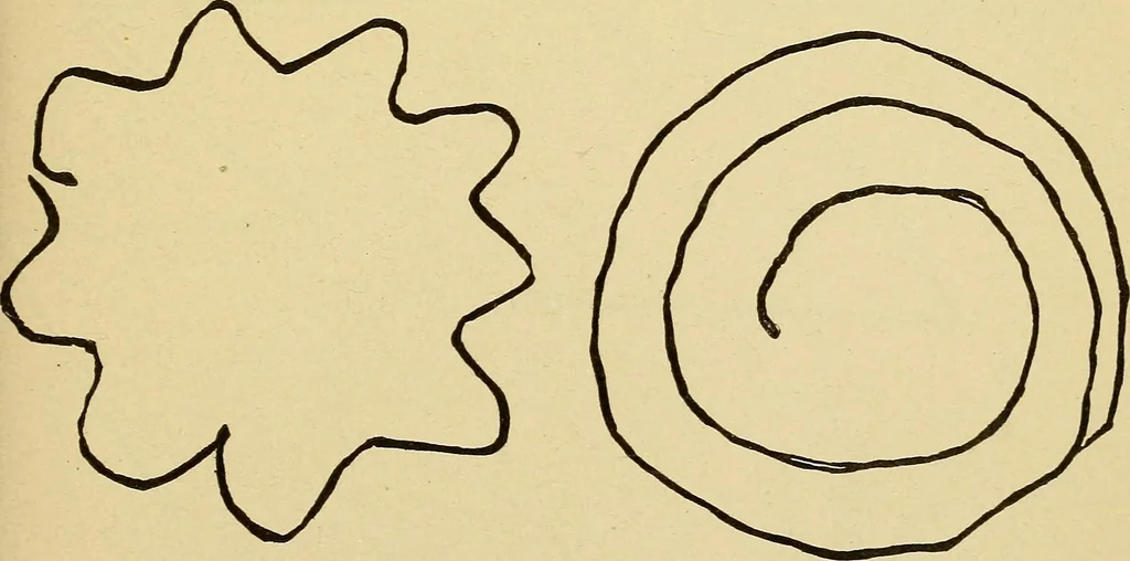 An illustration from Mind-reading and beyond, 1885, leaf 120