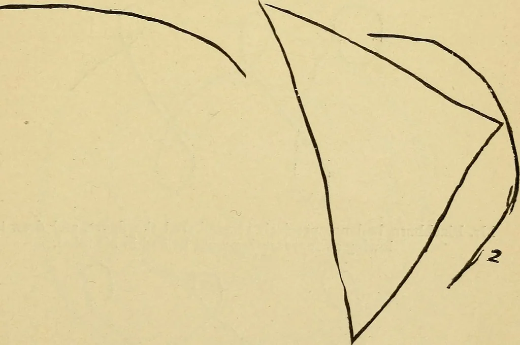 An illustration from Mind-reading and beyond, 1885, leaf 122