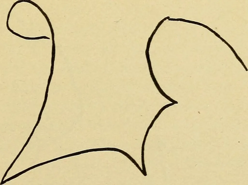 An illustration from Mind-reading and beyond, 1885, leaf 128