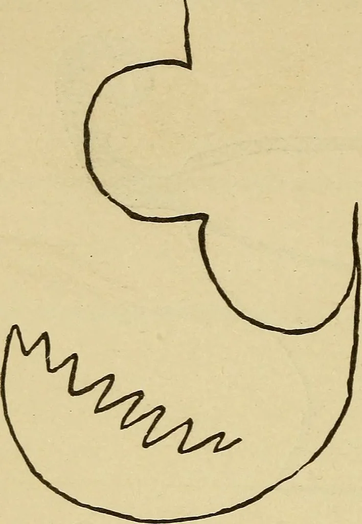 An illustration from Mind-reading and beyond, 1885, leaf 129