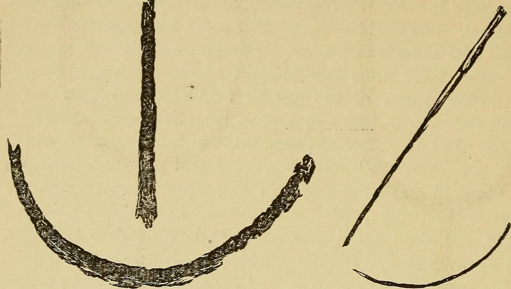 An illustration from Mind-reading and beyond, 1885, leaf 141