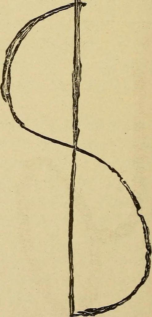 An illustration from Mind-reading and beyond, 1885, leaf 141