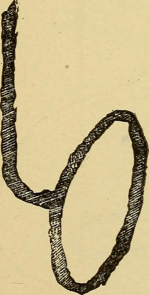 An illustration from Mind-reading and beyond, 1885, leaf 142