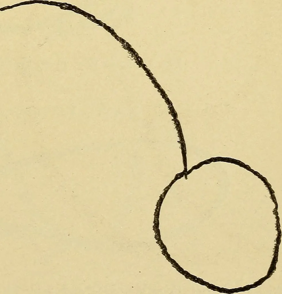 An illustration from Mind-reading and beyond, 1885, leaf 142