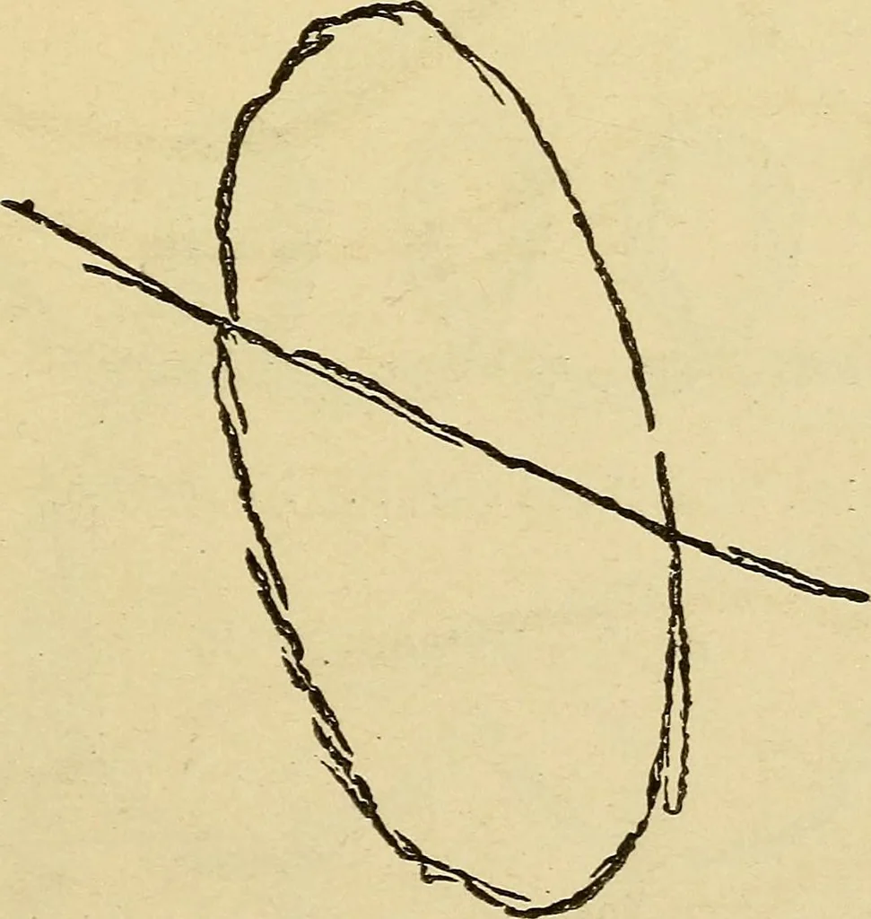 An illustration from Mind-reading and beyond, 1885, leaf 144