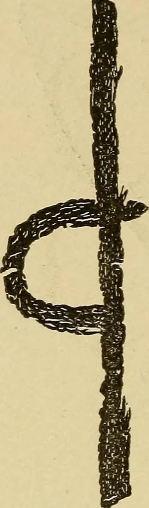 An illustration from Mind-reading and beyond, 1885, leaf 145