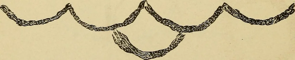 An illustration from Mind-reading and beyond, 1885, leaf 145