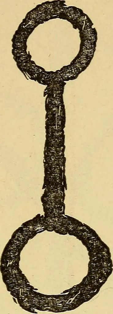 An illustration from Mind-reading and beyond, 1885, leaf 146