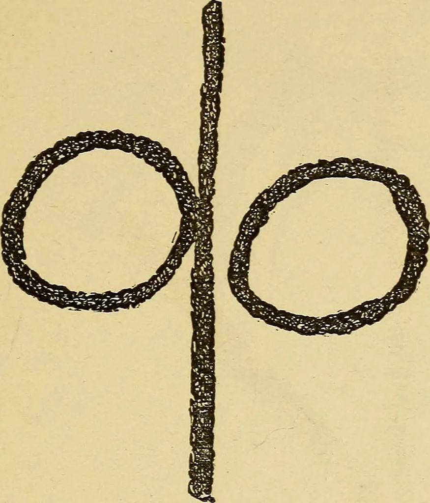 An illustration from Mind-reading and beyond, 1885, leaf 148