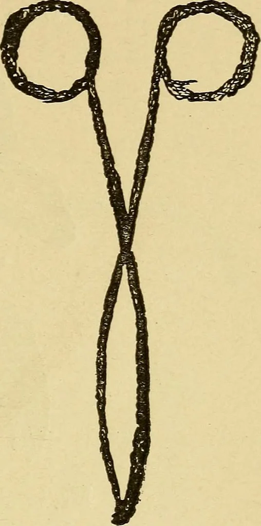 An illustration from Mind-reading and beyond, 1885, leaf 148