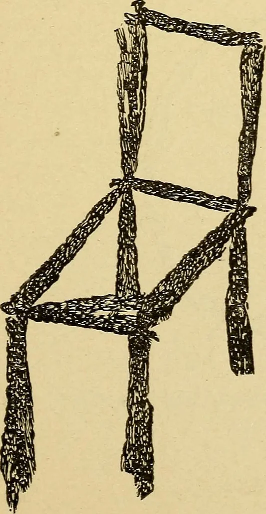 An illustration from Mind-reading and beyond, 1885, leaf 148