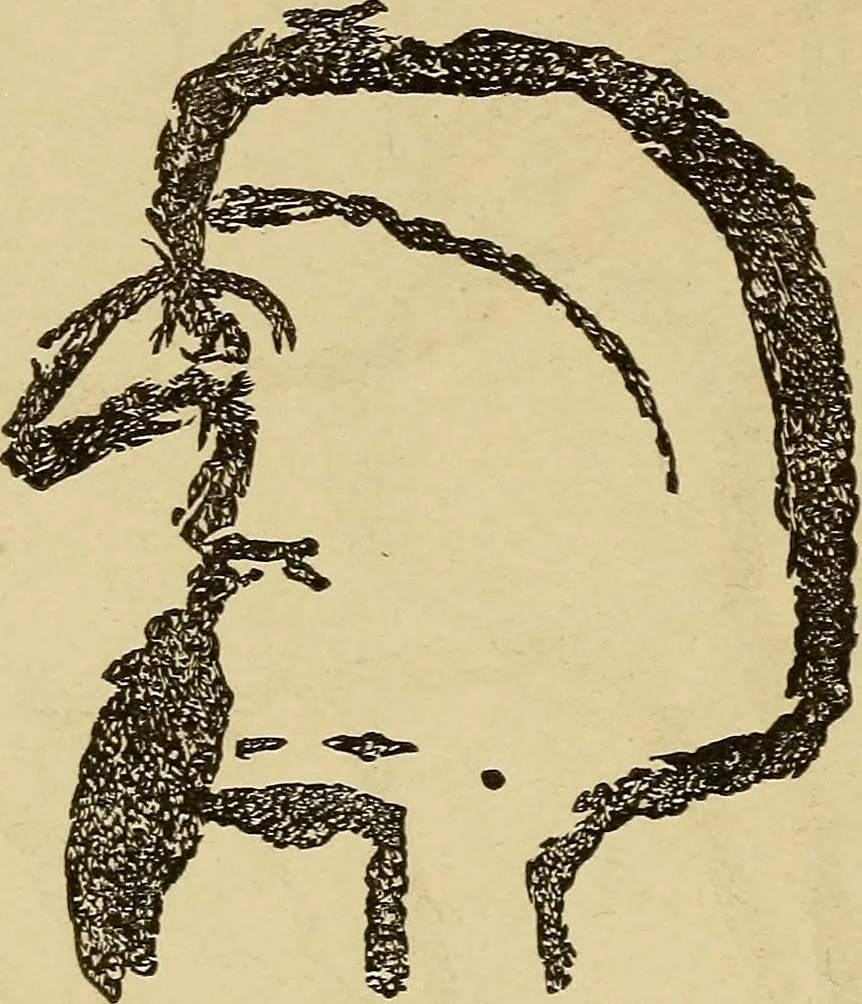 An illustration from Mind-reading and beyond, 1885, leaf 149