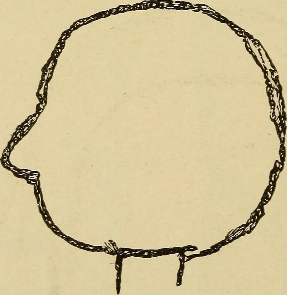 An illustration from Mind-reading and beyond, 1885, leaf 149