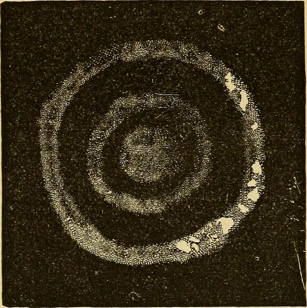 An illustration from Mind-reading and beyond, 1885, leaf 160