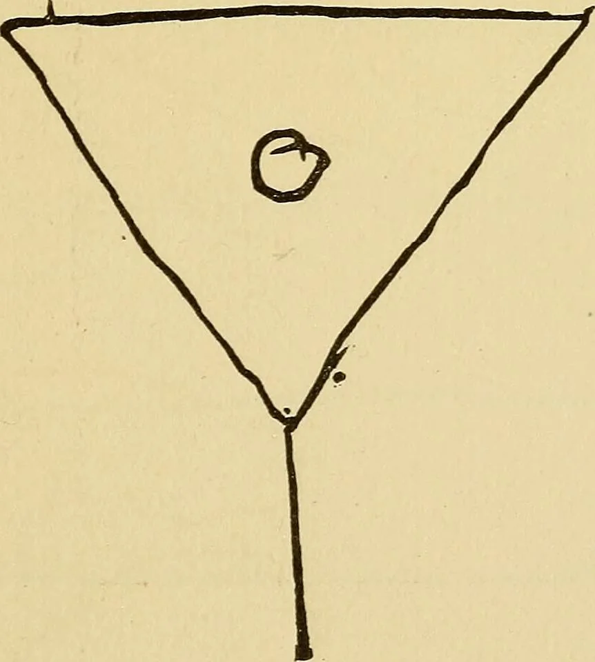 An illustration from Mind-reading and beyond, 1885, leaf 164